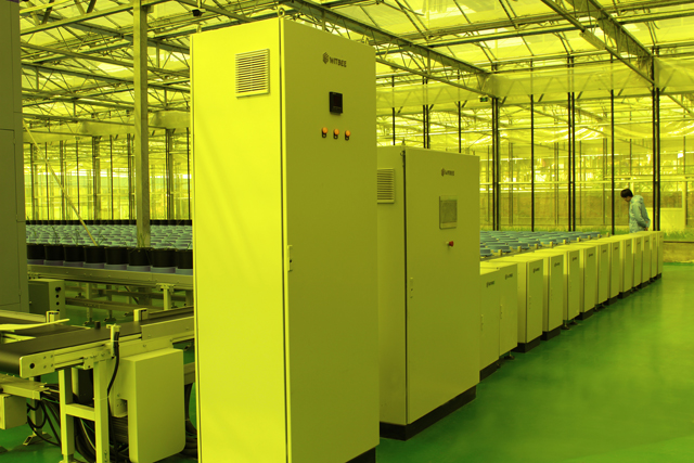 李建成副省長和謝華安院士等領(lǐng)導(dǎo)調(diào)研萬賓水稻表型分析平臺(圖5) 李建成副省長和謝華安院士等領(lǐng)導(dǎo)調(diào)研萬賓水稻表型分析平臺(圖5)